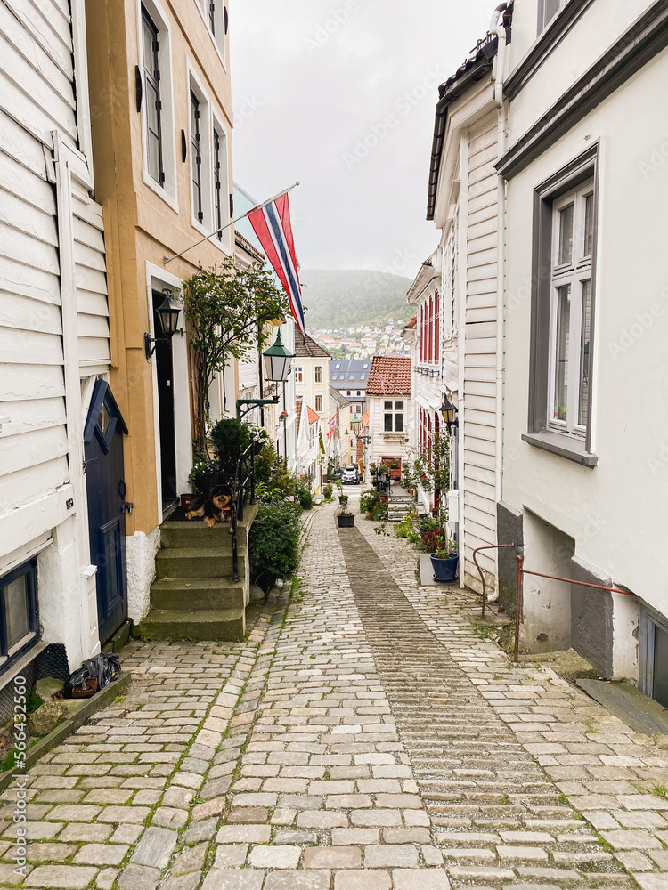 narrow street in the old town country of bergen norway with the norweigan flag and steps