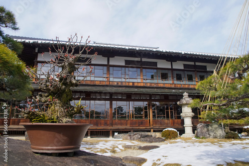 長浜盆梅展の会場の慶雲館
