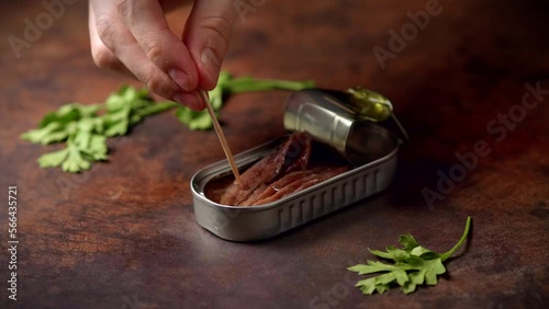 Hand with a thootpick picking up canned anchovies on a dark brown table with parsley. Ready to eat.