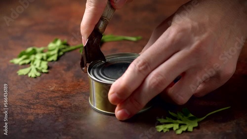 Hands opening canned octopus with a old can opener on a dark brown table with parsley. Ready to eat.