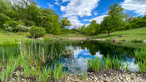 pond in the country on bright spring day