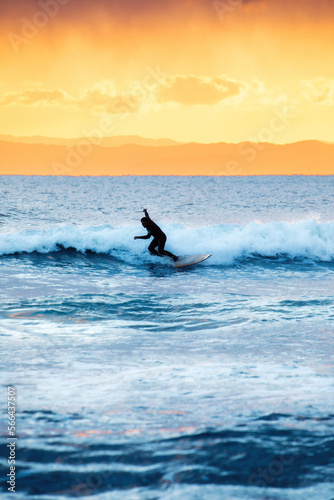 Fototapeta Naklejka Na Ścianę i Meble -  surfer on the sea
