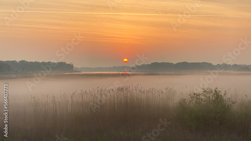 sunrise over the marsh and lake