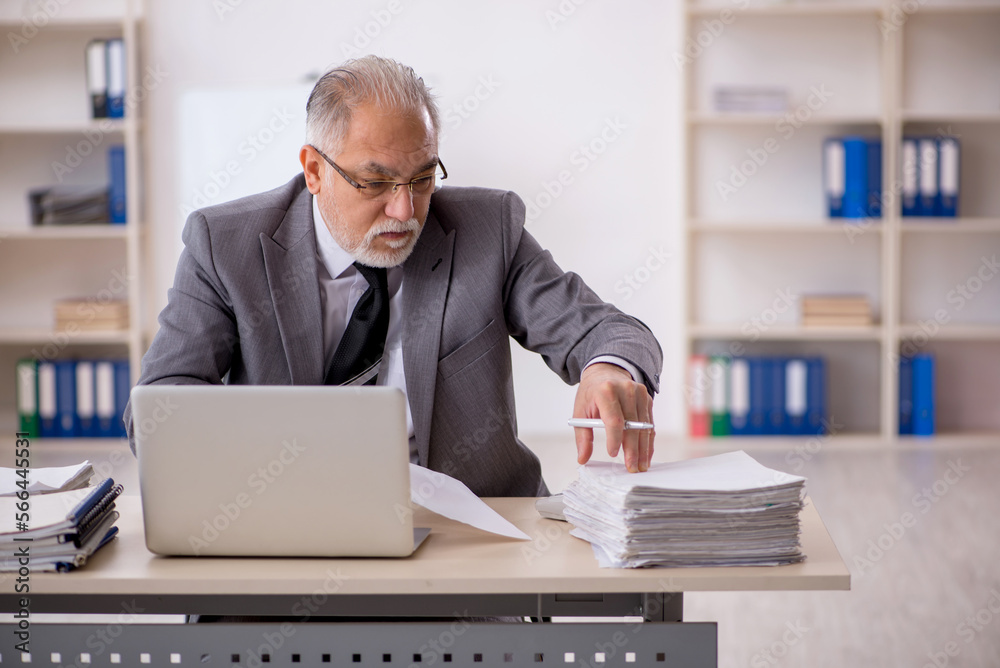 Old male employee working in the office Old male employee working in the office
