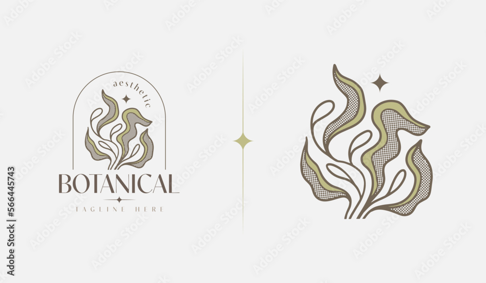 Obraz premium Abstract Plant Botanical Flower Line Art Line Drawing. Universal creative premium symbol. Vector illustration. Creative Minimal design template