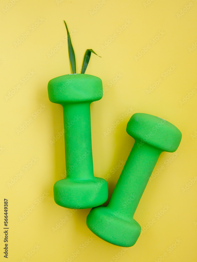two green heavy dumbbells with leaves in shape of Easter bunny on yellow background. Easter fitness and training composition with copy space. Top view from above, flat lay, vertical. two green heavy dumbbells with leaves in shape of Easter bunny on yellow background. Easter fitness and training composition with copy space. Top view from above, flat lay, vertical.