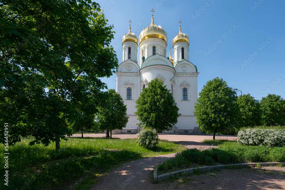 Cathedral of the Holy Great Martyr Catherine on a summer sunny day, Pushkin, St. Petersburg, Russia