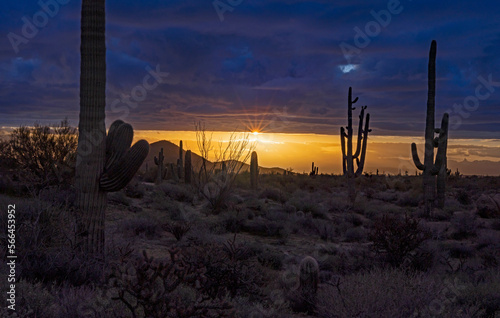 Sunrise In the Arizona Desert Near Scottsdale AZ © Ray Redstone