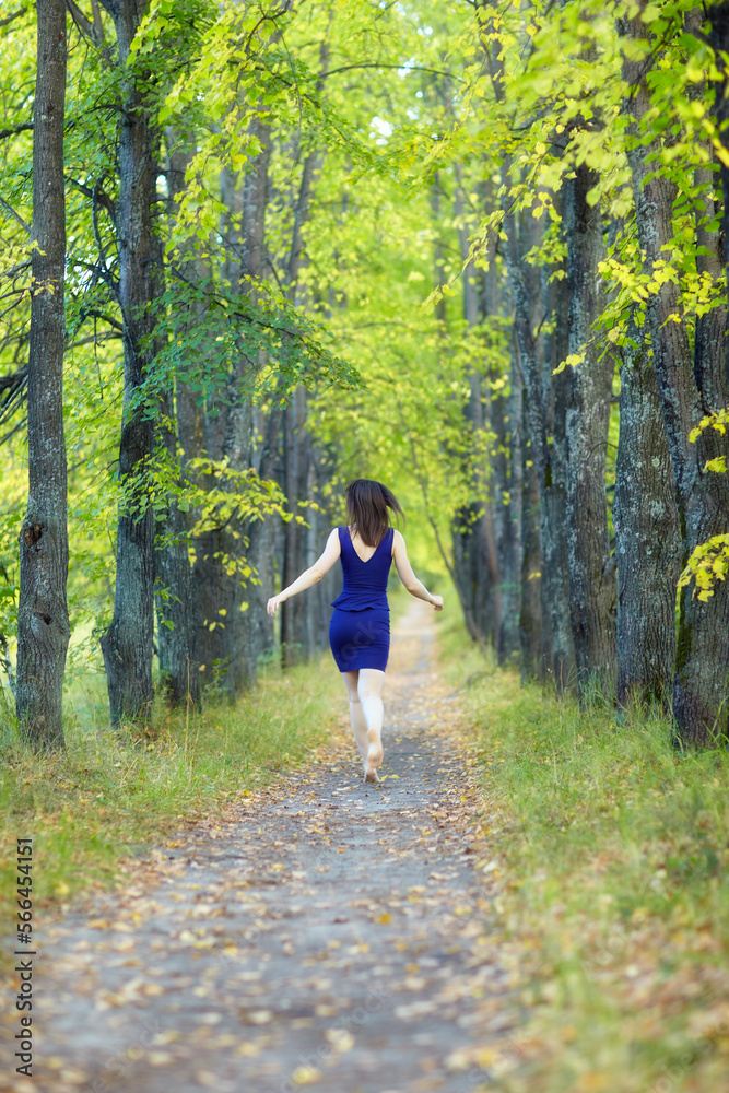 Female in blue dress walking along autumn linden tree alley. Female in blue dress walking along autumn linden tree alley.