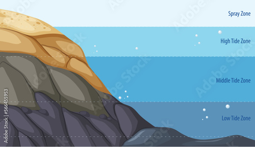 Rocky shore zonation education diagram