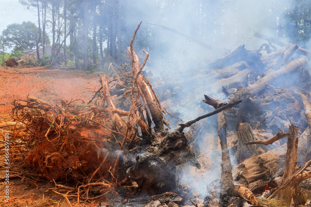 An uprooted forest is being burned in construction site for purpose of building houses An uprooted forest is being burned in construction site for purpose of building houses