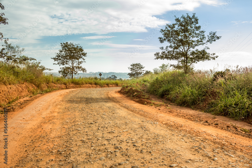 Dirt road in rural area with fence dividing route of crops and trees