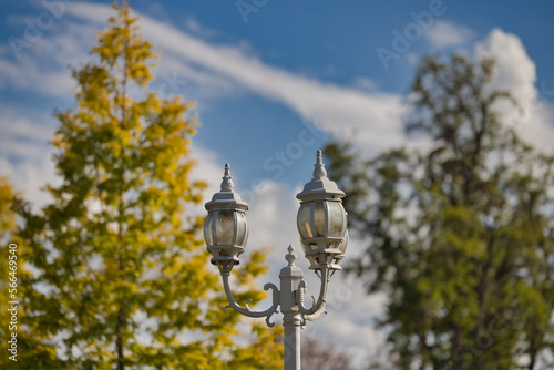 Classic charm of white retro street lamps in front of trees