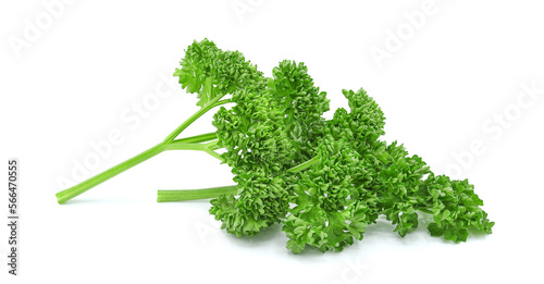 Slika na platnu Fresh parsley leaves isolated on transparent background. PNG