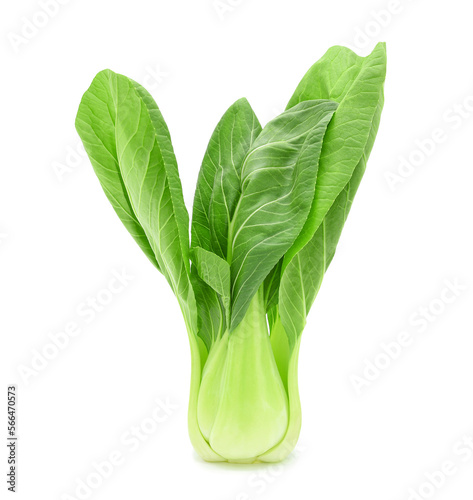 Bok choy (chinese cabbage) isolated on transparent background. PNG