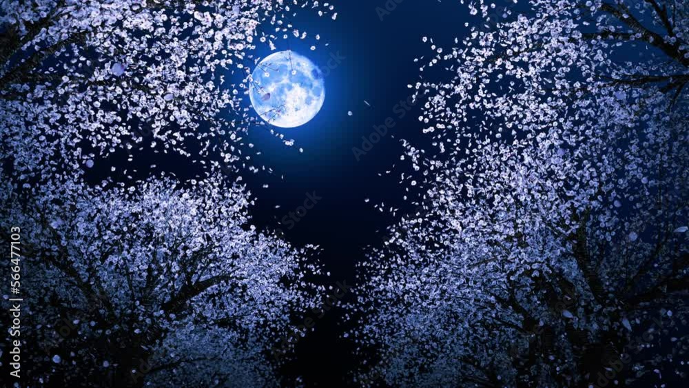 美しい 月と夜桜 桜並木 Stock Stock Adobe | ビデオ 絵画