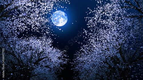 Y*o様 ブラックラビット（夜桜/蓄光） Amazon | 紫外線LEDスポットライトUV蛍光灯395nmブラックライト