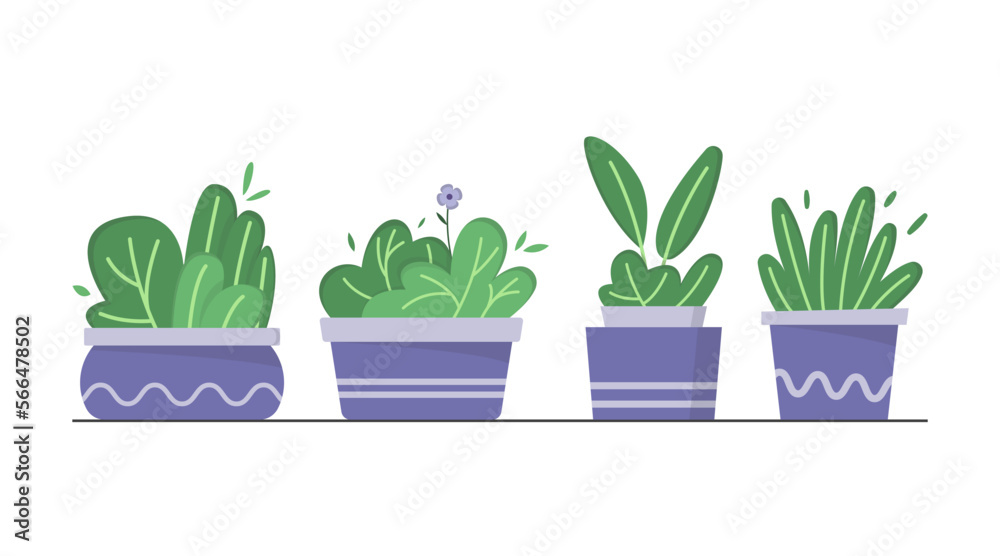 Set of hand drawn cute potted plant, indoor plant, home decoration plant illustration