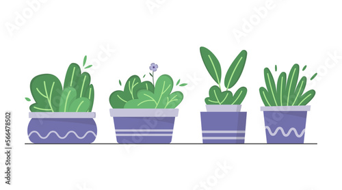 Set of hand drawn cute potted plant, indoor plant, home decoration plant illustration