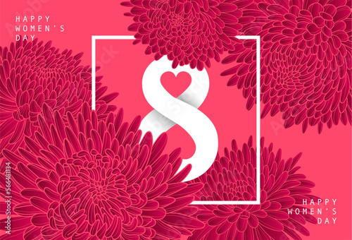 Beautiful blooming red chrysanthemums on a pink background. Amazing postcard for March 8 - International Women's Day. Lush buds of chrysanthemums.