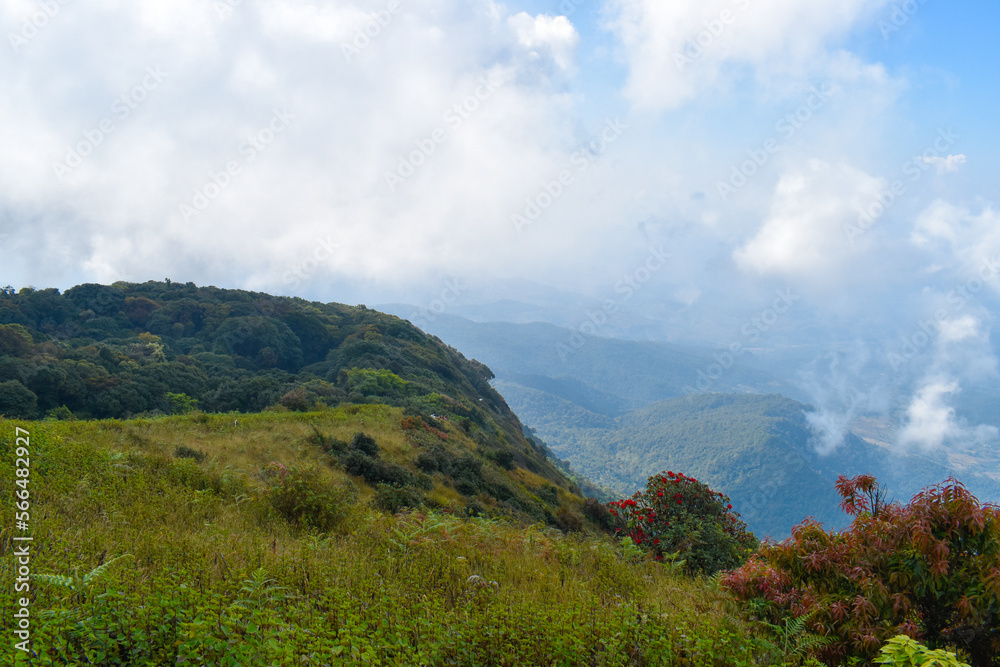 Obraz premium Top of the Doi Inthanon mountain of the Chiang Mai, Thailand