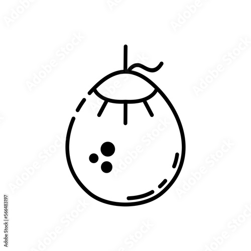 young coconut line art icon logos set vector image