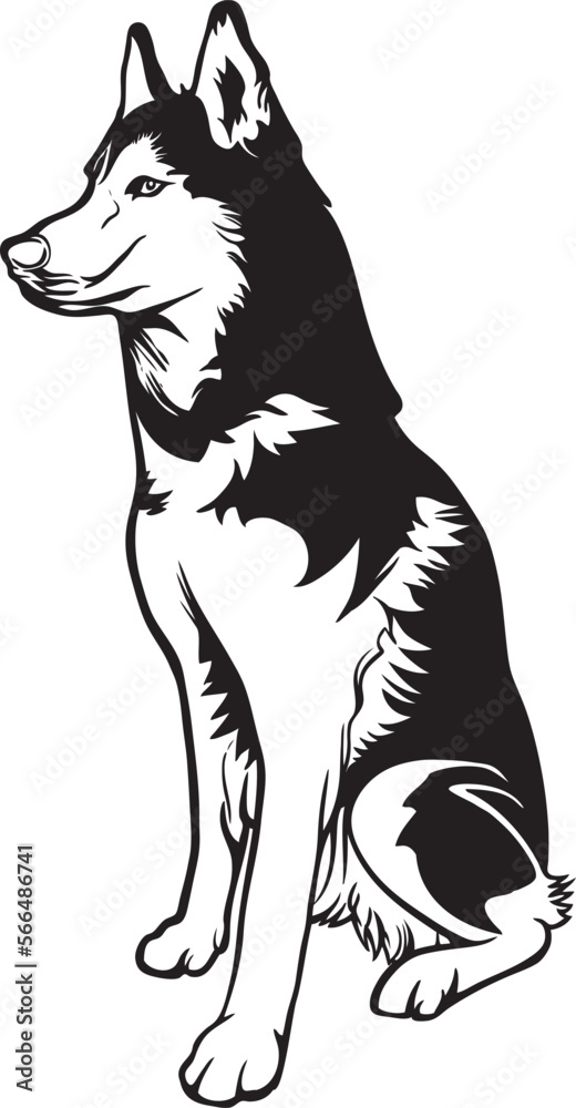 black and white siberian husky puppy vector.