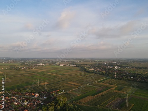 Aerial view of rice field with road in Yogyakarta, Indonesia