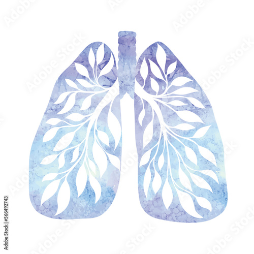 Anatomical blue watercolor illustration of healthy human lungs with tree branch isolated from background. Vector human body organ.