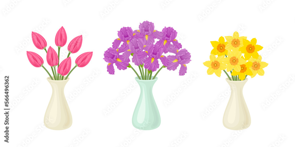 Obraz premium Set of spring bouquets in vases isolated on white. Vector cartoon illustration of beautiful flowers. Pink tulips, yellow daffodils and purple irises.