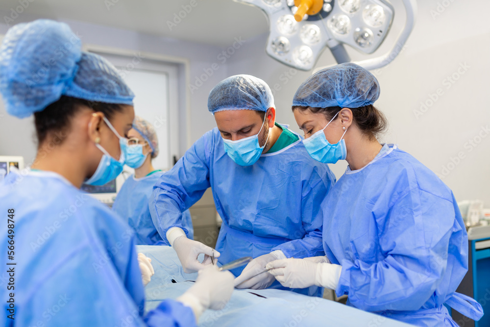 Shot in the Operating Room, Assistant Hands out Instruments to Surgeons During Operation. Surgeons Perform Operation. Professional Medical Doctors Performing Surgery. Shot in the Operating Room, Assistant Hands out Instruments to Surgeons During Operation. Surgeons Perform Operation. Professional Medical Doctors Performing Surgery.