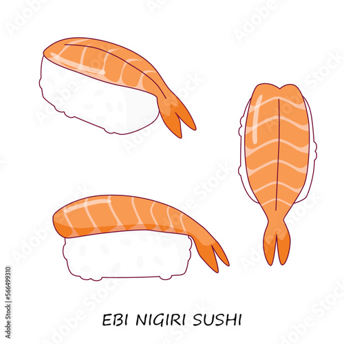 Shrimp sushi nigiri on white background. Ebi nigiri. Different view. Traditional Japanese food. Vector clipart. photo