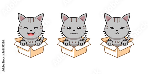 Vector cartoon illustration set of gray tabby cat showing different emotions in cardboard boxes for design.
