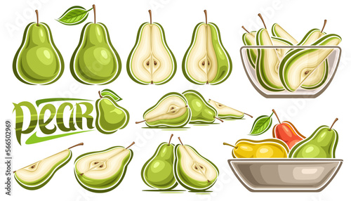 Vector Pear Set, horizontal banner with lot collection of cut out illustrations fruit still life composition, ripe juicy chopped pears in transparent dish, many different garden fruits and text pear