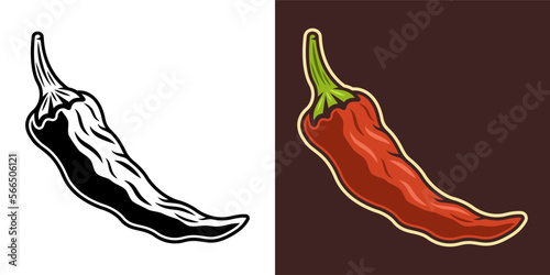 Chili pepper vector illustration in two styles black on white and colorful on dark background