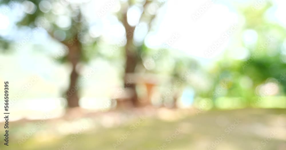 Blur background green park garden nature bright sunny forest. Blurry outdoor park in spring time glowing shinny day template with sunlight bokeh. Abstract blurred background banner copy space.