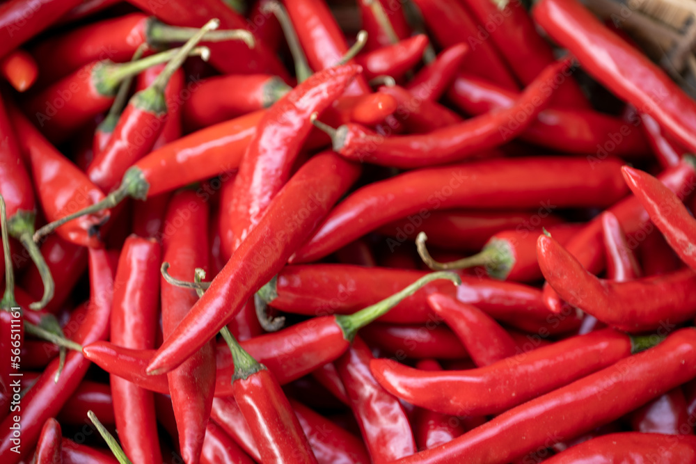 Fresh raw red hot chilli peppers