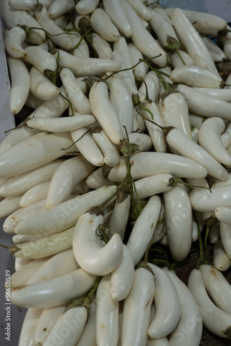 a heap of Brinjal (egg fruit, aubergine, Solanum melongena) for sale in a vegetable market. Overhead composition. Mandi market system in India