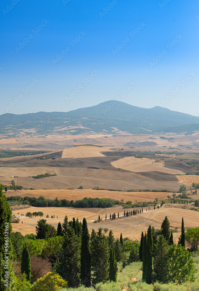 Tuscan landscape with hills and cypresses