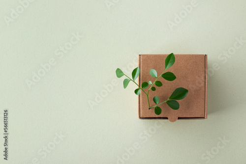 Canvastavla Cardbox from recyclable organic materials with green leaves sprout top view