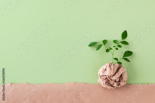Sprout of small tree with green leaves growing from recycled craft paper top view. Eco, saving energy, zero waste, plastic free and environment conservation concept.
