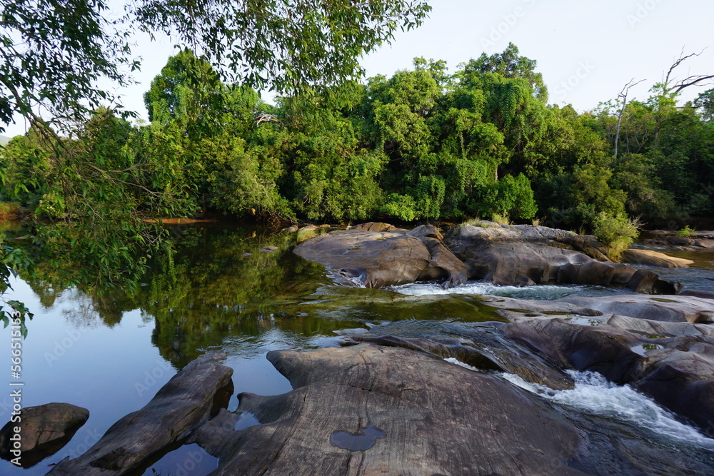 mountain river in the forest