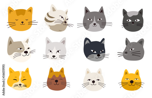 Cats heads emoticons vector.