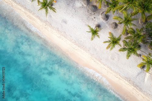 Aerial view of tropical paradise beach, amazing seascape with white sand, coconut palms and sea, outdoor travel background, summer holiday concept, natural wallpaper. Caribbean, Dominican Republic © larauhryn