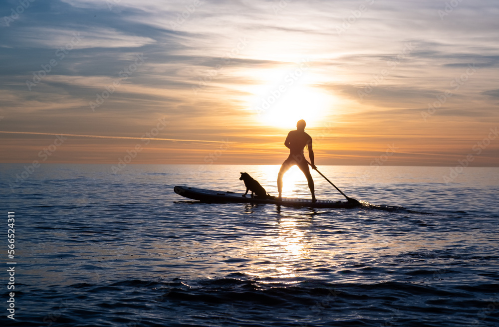 a sporty guy swims with a dog on a board in the sea under the beautiful sunset sun