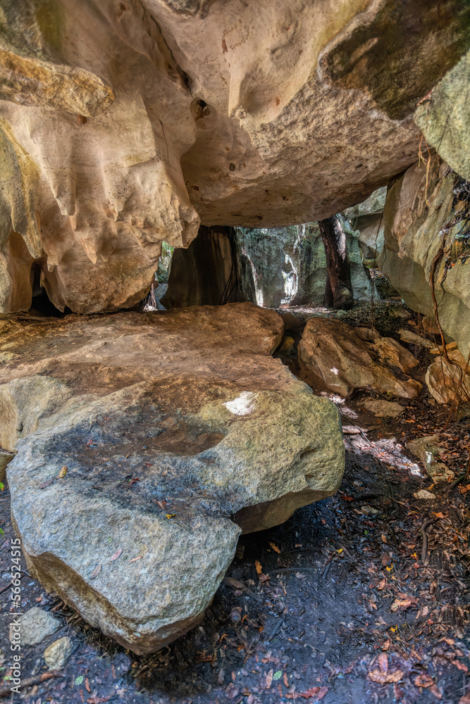 Obraz premium Petit Tsingy de Bemaraha, Strict Nature Reserve located near the western coast of Madagascar. UNESCO World Heritage with unique geography, mangrove forests, and animal. Madagascar wilderness landscape