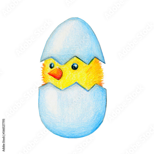 Cute character yellow chicken in an egg, hand-drawn, colored pencils