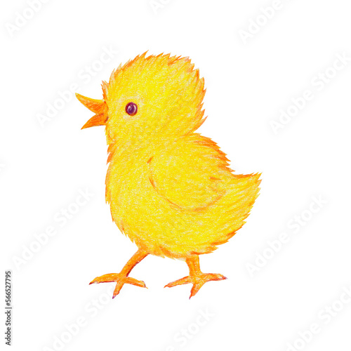 Bright yellow little chicken, side view, hand-drawn, colored pencils