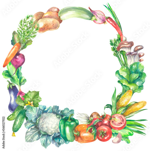 Fototapeta Naklejka Na Ścianę i Meble -  Watercolor round frame with vegetables