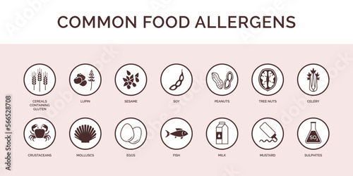 Common food allergens icons set